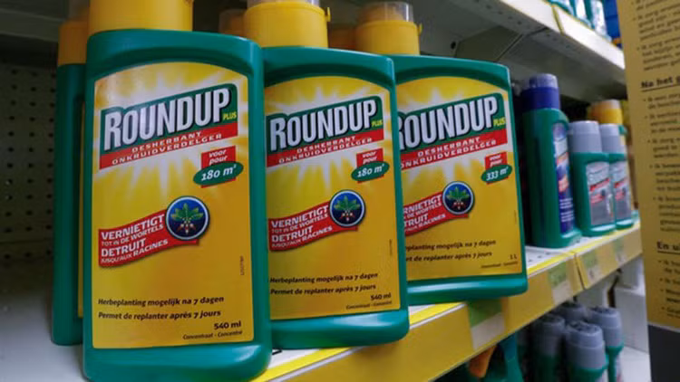 Thuốc diệt cỏ Roundup của Monsanto.