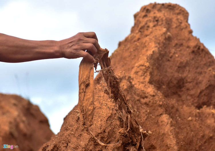 Vong xoay cao toc 34.500 ty 'dung banh' vi het han vay von hinh anh 3 