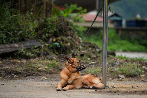 Lap vanh dai an ninh, bo doi day dac quanh ga Dong Dang hinh anh 2