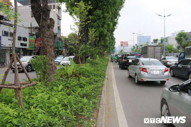 Ảnh: Đường Láng thay đổi bất ngờ, dân Thủ đô cứ ngỡ đang lạc vào đường phố Singapore - Ảnh 4.