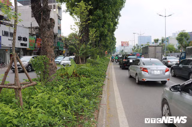 Ảnh: Đường Láng thay đổi bất ngờ, dân Thủ đô cứ ngỡ đang lạc vào đường phố Singapore - Ảnh 4.