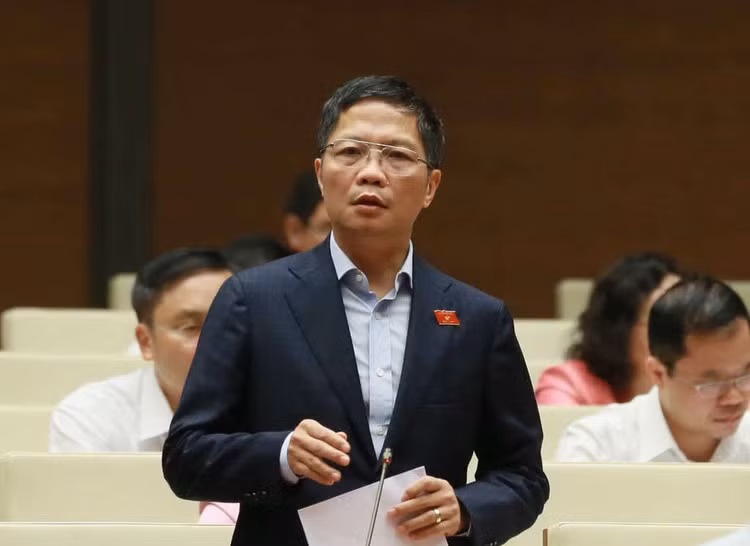 Hang hoa co duong luoi bo va loat van de cho Bo truong Tran Tuan Anh hinh anh 1 