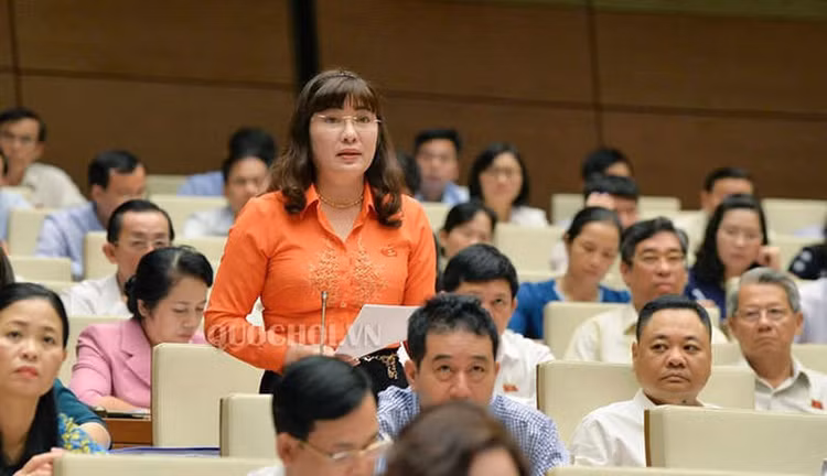 Đại biểu Võ Thị Như Hoa (TP Đà Nẵng)