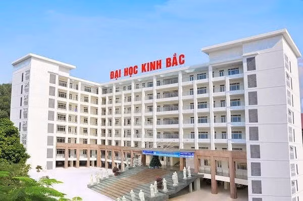 Cap bang sai quy dinh, Hieu pho Truong Dai hoc Kinh Bac bi khoi to hinh anh 1