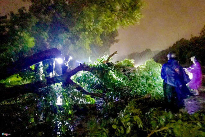 Bao so 5 suy yeu, Trung Bo mua lon hinh anh 2 