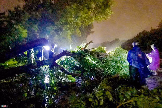 Bao so 5 suy yeu, Trung Bo mua lon hinh anh 2 