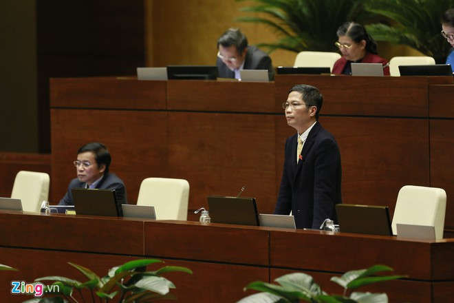 Chu lo nhom 4,3 ty USD gia hang Viet do nguoi Trung Quoc dau tu hinh anh 5 