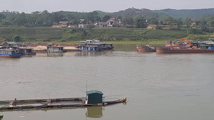 Khi nước thải từ trang trại lợn cách chỗ cấp nước sinh hoạt vài km