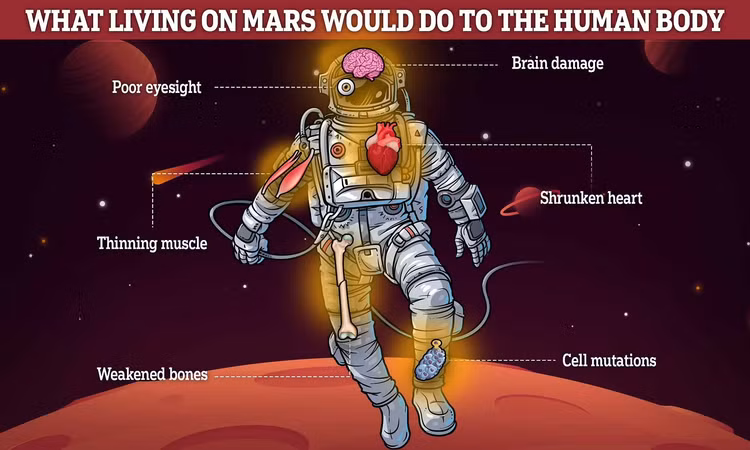 Sinh ra tren Sao Hoa, tre em se bien di sau vai the he?-Hinh-6