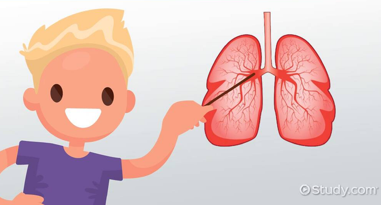 Sinh ra tren Sao Hoa, tre em se bien di sau vai the he?-Hinh-9