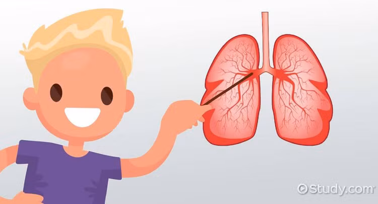 Sinh ra tren Sao Hoa, tre em se bien di sau vai the he?-Hinh-9