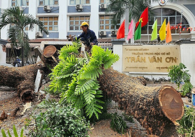 Nhân viên cây xanh khắc phục sự cố. Ảnh: VnExpress