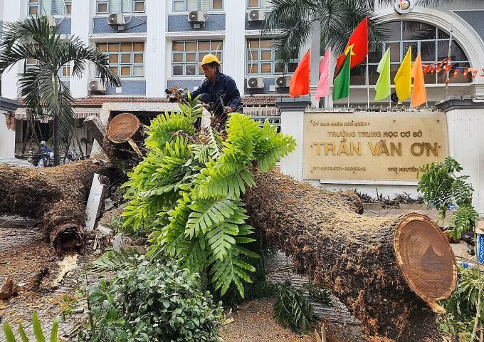 Nhân viên cây xanh khắc phục sự cố. Ảnh: VnExpress