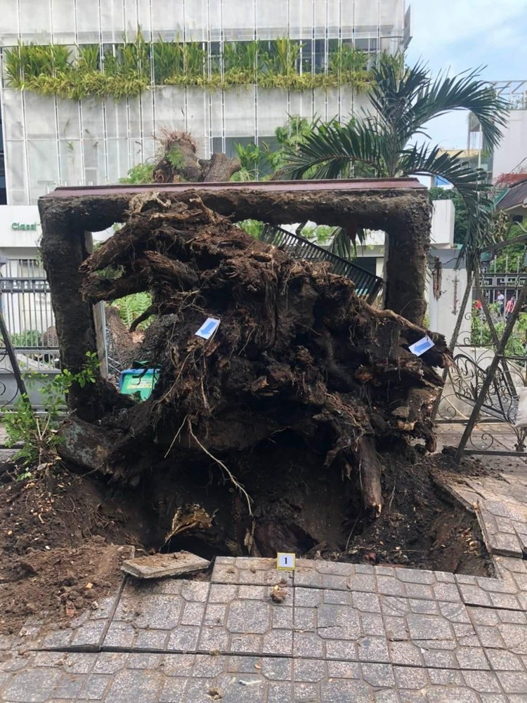 Hiện trường sự việc - Ảnh: Pháp luật TP.HCM