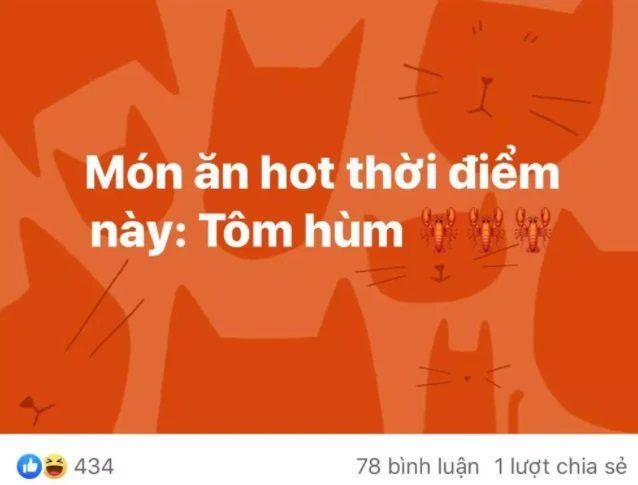tom-hum3.jpg
