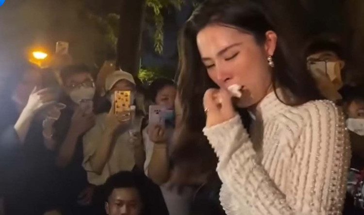 Dong Nhi khoc fan anh 2