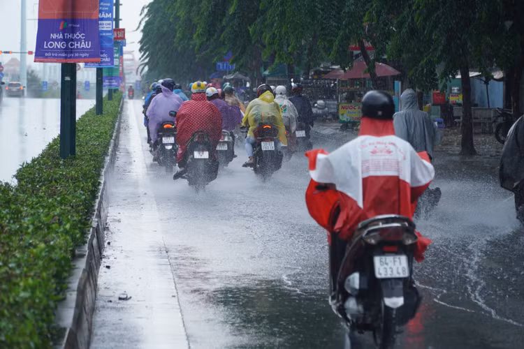 TP.HCM co mua da anh 2