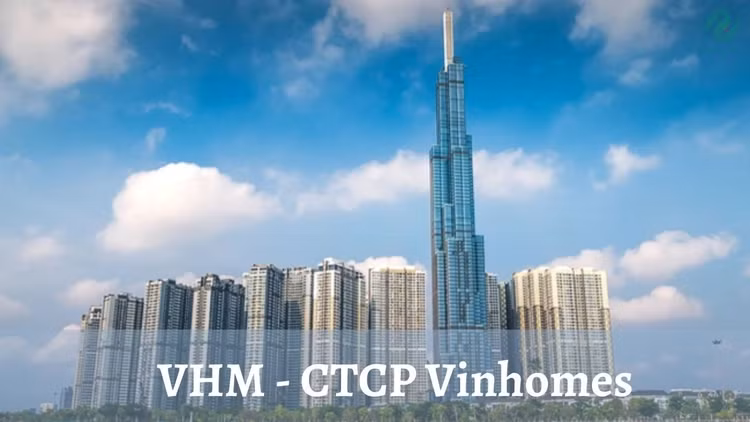 ctcp-vinhomes.jpeg
