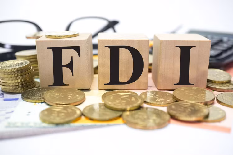 fdi.jpeg