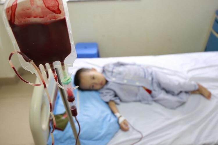 thalassemia.jpg