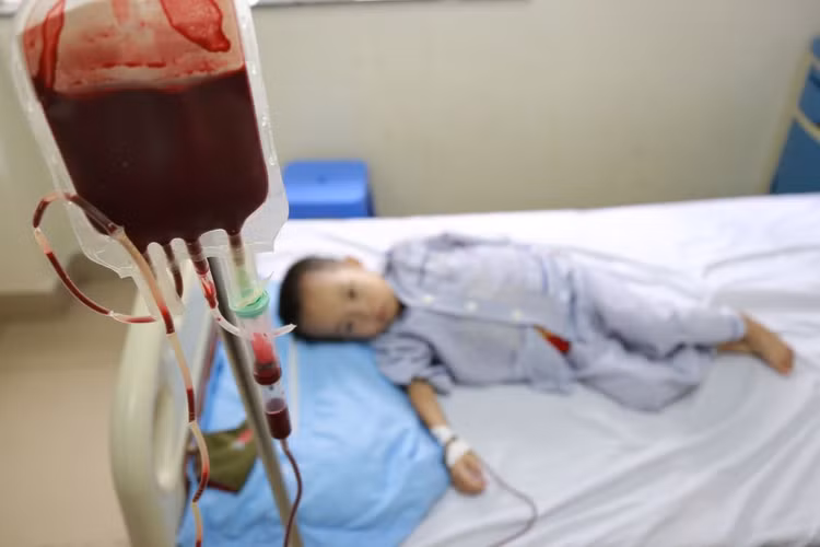 thalassemia.jpg