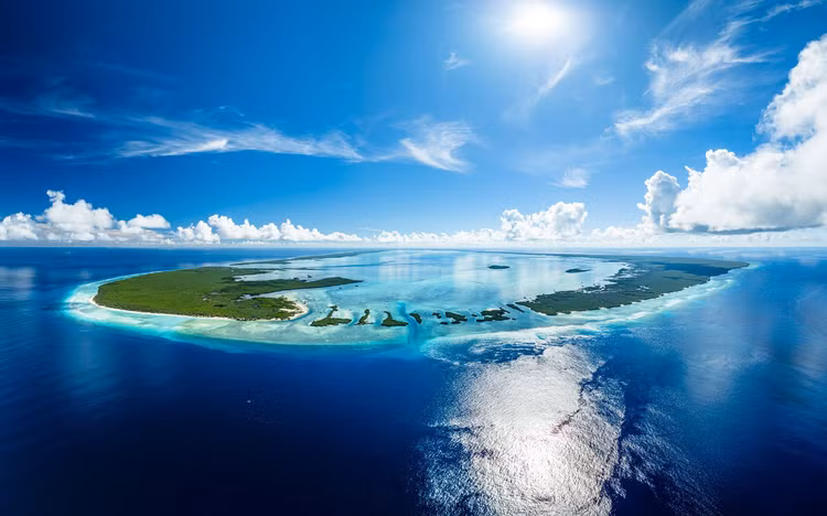 Ngo ngang loai chim tuyet chung hon van nam bat ngo 