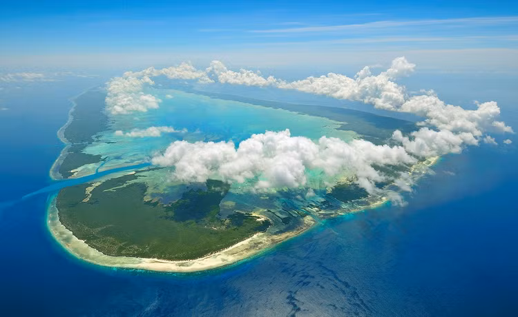 Ngo ngang loai chim tuyet chung hon van nam bat ngo 