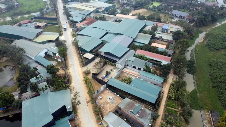 Lang que ngheo doi doi thanh ty phu nho nuoi con “phi phi”