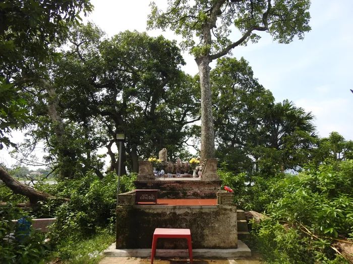 Giữa gò có ngôi mộ cổ gắn biển "Mùng 10 tháng Ba năm 1011" được cho là thờ Ngọc Hoa công chúa. Ảnh: Tuấn Trung