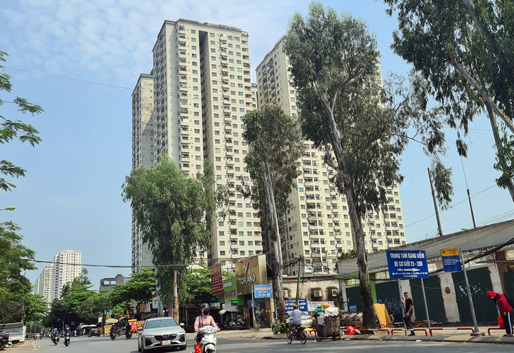 Tan muc du an CT6 Kien Hung khien dai gia Le Thanh Than vuong vong lao ly-Hinh-15