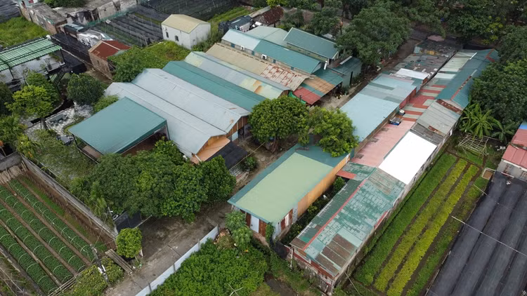 Ha Noi giao xu ly cong trinh “moc” tren dat nong nghiep o Tay Tuu