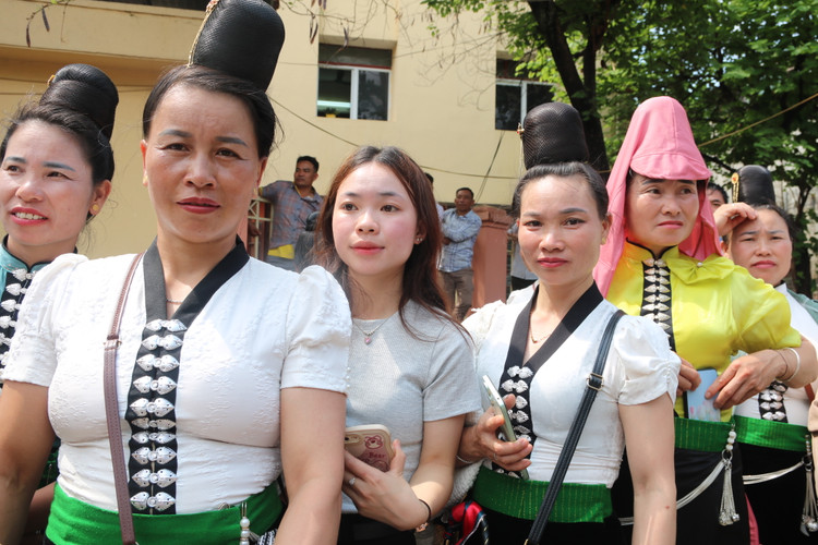 Hoa chung nhip tu hao ngay ky niem 70 nam chien thang Dien Bien Phu-Hinh-10