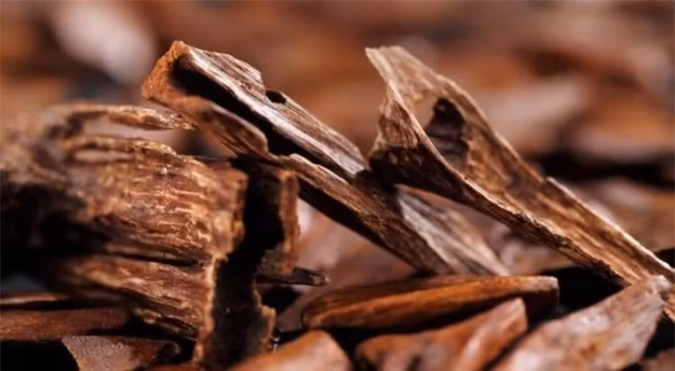 5 loai go dat do nhat hanh tinh... mot loai day ray o Viet Nam-Hinh-10