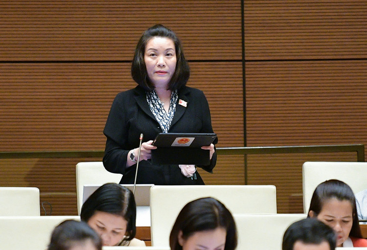 DBQH: Bo sung bien phap manh quan ly nen tang xuyen bien gioi-Hinh-2