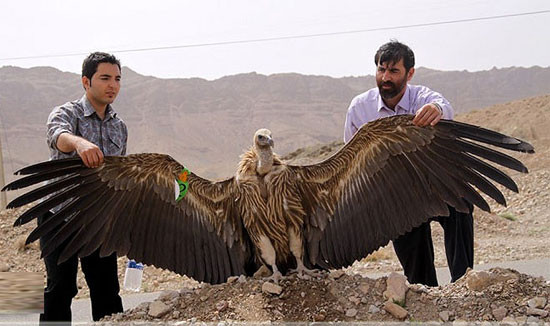 Ky la than ung bay khong can vo canh, tho nhat the gioi-Hinh-6