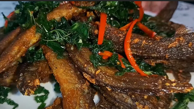 Loai ca vo dich ve canxi, duoc vi nhu nhan sam nuoc cua Viet Na-Hinh-4