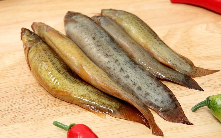 Loai ca vo dich ve canxi, duoc vi nhu nhan sam nuoc cua Viet Na-Hinh-7