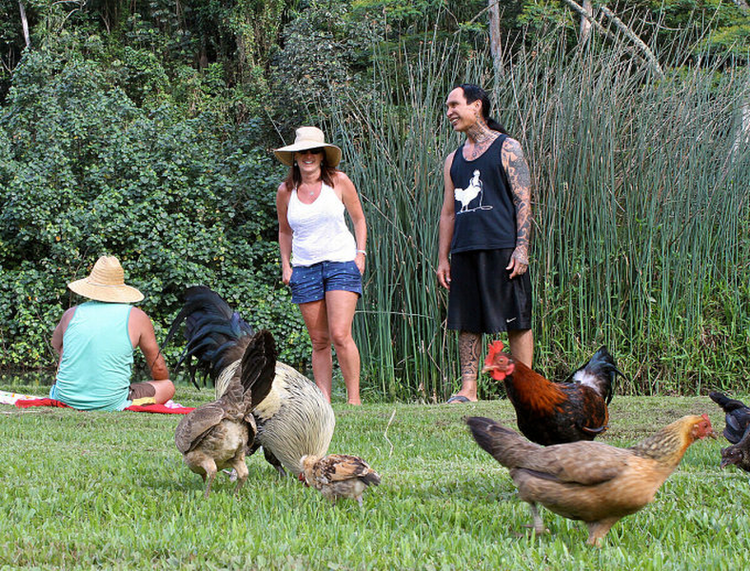 Kỳ lạ hòn đảo người dân không dám ăn thịt gà, sợ nhất sáng sớm - Hình 4 Ky la hon dao nguoi dan khong dam an thit ga, so nhat sang som-Hinh-4