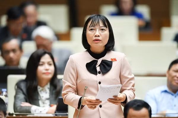 DBQH: Bo Tai chinh “gac cua” chua nghiem?-Hinh-2