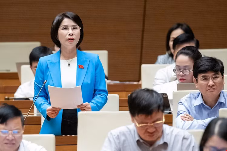 ĐBQH: Thiếu thuốc bệnh viện ảnh hưởng quyền lợi người dân - Hình 2 DBQH: Thieu thuoc benh vien anh huong quyen loi nguoi dan-Hinh-2