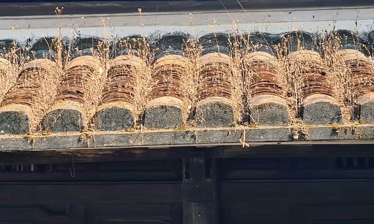 Ngam ve dep Hoi An, top 10 diem du lich thinh hanh nhat the gioi-Hinh-9