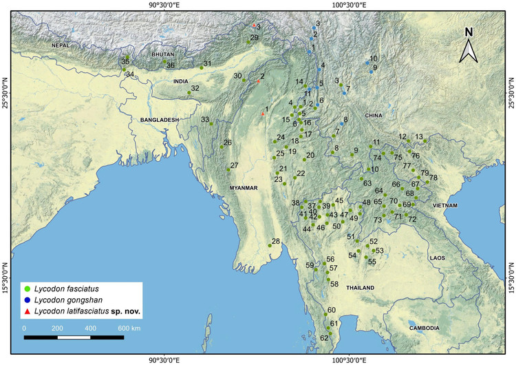 Cong bo loai ran soi moi, nha khoa hoc Viet giai ma sao?-Hinh-5