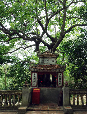 Vi quan o Viet Nam duoc vi nhu Gia Cat Luong, muu luoc nhu than-Hinh-8