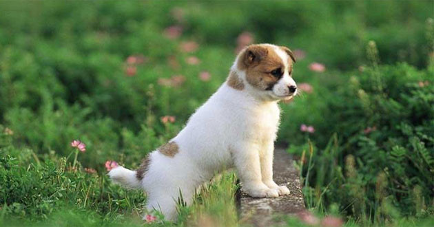 Tử vi 12 con giáp năm 2024: Kẻ thuận lợi, người gập ghềnh khó khăn - Hình 22 Tu vi 12 con giap nam 2024: Ke thuan loi, nguoi gap ghenh kho khan-Hinh-22