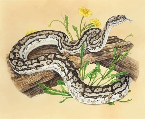 Tử vi 12 con giáp năm 2024: Kẻ thuận lợi, người gập ghềnh khó khăn - Hình 11 Tu vi 12 con giap nam 2024: Ke thuan loi, nguoi gap ghenh kho khan-Hinh-11