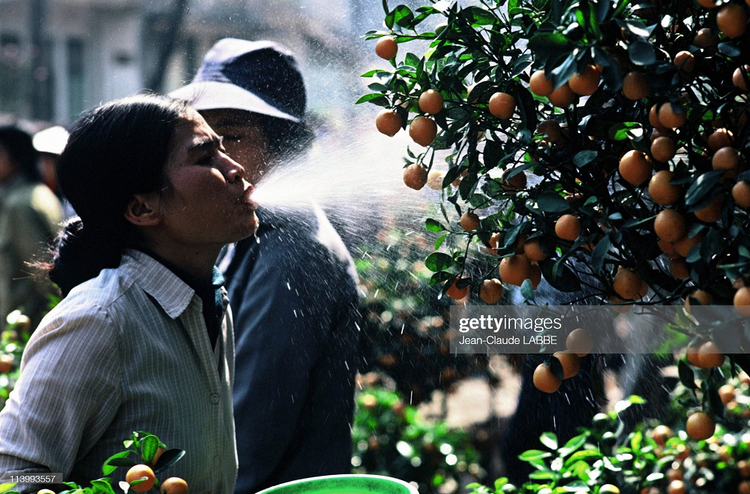 Loat anh gay thuong nho ve Tet Nguyen dan Viet Nam 50 nam truoc-Hinh-5