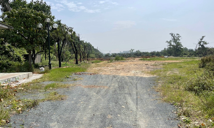 Ha Noi: Ngan chan san lap dat trai phep o Sai Son-Hinh-7