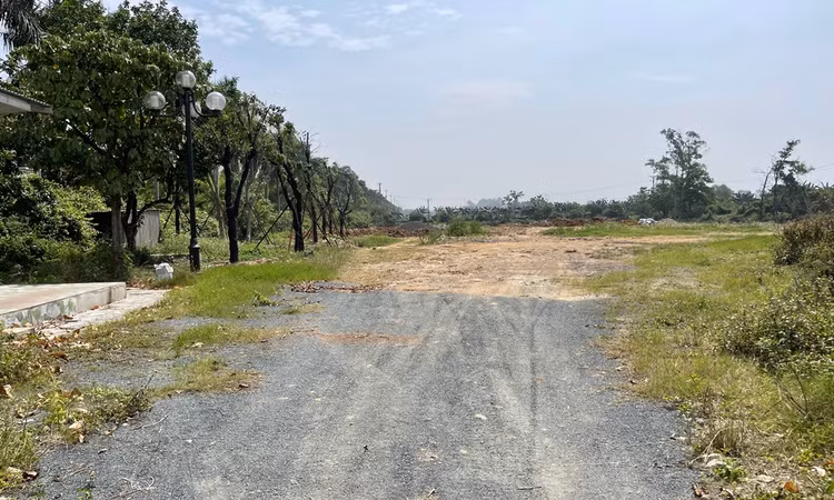 Ha Noi: Ngan chan san lap dat trai phep o Sai Son-Hinh-7