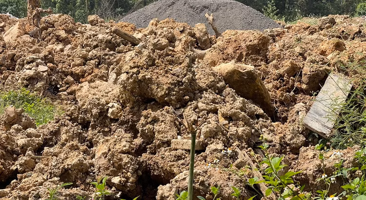 Ha Noi: Ngan chan san lap dat trai phep o Sai Son-Hinh-4