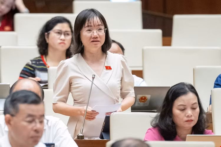 ĐBQH: Cử tri quan tâm nhiều Luật Nhà giáo, Luật Điện lực, Luật Việc làm… - Hình 2 DBQH: Cu tri quan tam nhieu Luat Nha giao, Luat Dien luc, Luat Viec lam…-Hinh-2